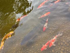 -青岛鑫江温德姆酒店