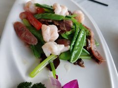 -云中小雅