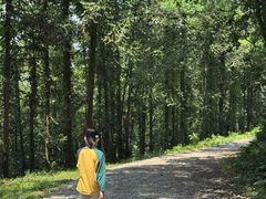 -虞山风景区