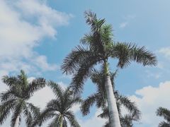 -三亚太阳湾柏悦酒店