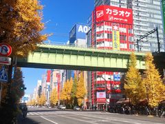 -秋叶原电器街