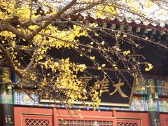 -红螺寺
