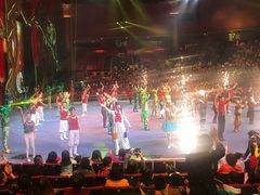 -珠海横琴长隆《卡卡虎奇遇记》