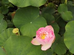 -龙环葡韵住宅式博物馆