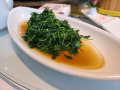-天福苑(崇宁路店)
