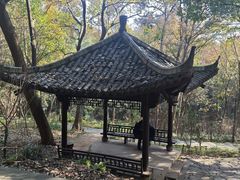 -杭州半山国家森林公园