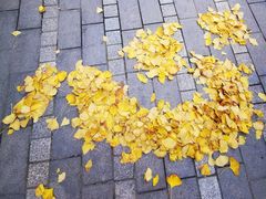 -两江幸福广场
