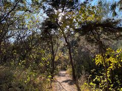 -北京西山国家森林公园