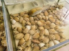 -北海（合浦）肥佬食街