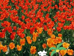 -北京世界公园
