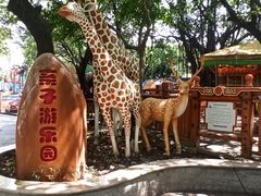 -晓港公园
