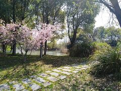 -梁鸿国家湿地公园