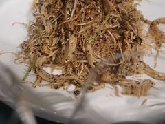 -绿岛国际酒店·海鲜酒楼(八七路店)