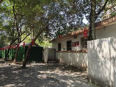 -食神又名厕所兔