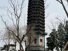 -西海子公园