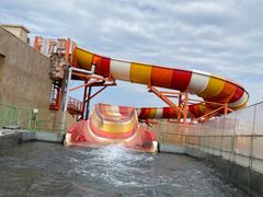 -上海海昌海洋公园