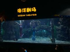 -郑州海洋馆