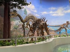 -延庆地质公园博物馆