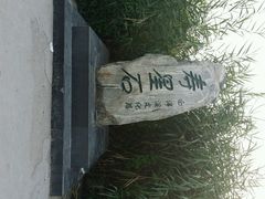 android_upload_pic-白洋淀景区