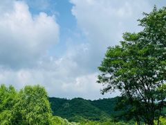 -玉渡山自然风景区