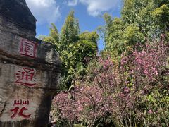 -昆明动物园