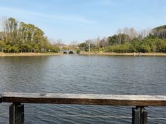 -长广溪湿地公园