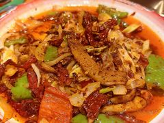 -柴窝堡22号辣子鸡·传承新疆菜