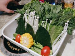 -清真军邺·金富苑肥牛(石坡街旗舰店)