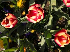 -无锡市市民中心