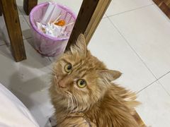 -贵州沾水米线(学田湾店)