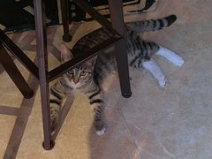 -逃脱反斗城沉浸剧情密室(北京路店)