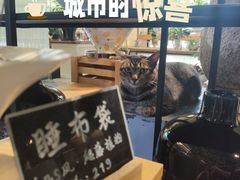 -弗劳尔花艺坊(龙涛店)