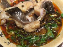 -融泽漁悦三只耳鱼火锅(南郑大道店)