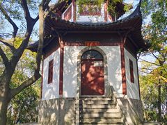 -上海佘山国家森林公园天马山园