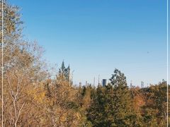 -白水寺森林公园