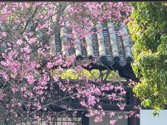 -常熟方塔园