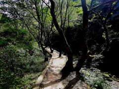 -少华山国家森林公园