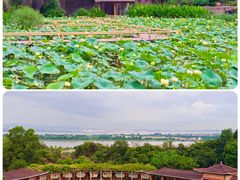 -广州莲花山旅游区