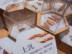 -香市公园-中国沉香文化博物馆