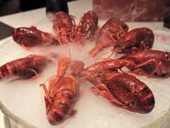 -红盔甲·小龙虾(天钥桥店)