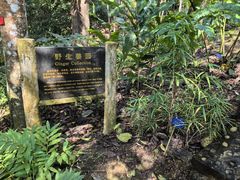 -中国科学院西双版纳热带植物园