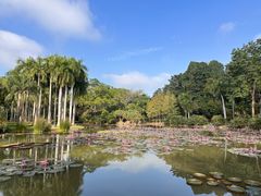-中国科学院西双版纳热带植物园