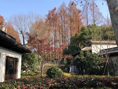 -杭州西湖柳莺里酒店·闻莺厅