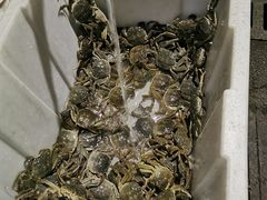 -黄记大闸蟹专卖店·活蟹·醉蟹
