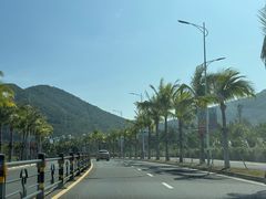 -亚龙湾国际玫瑰谷