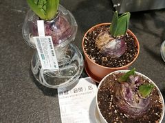 -鹿岛会员店 (龙湖三千集天街店)