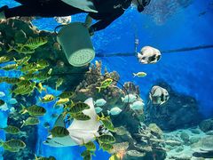 -海合安武汉极地海洋公园
