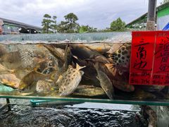 -大笑饭堂(甲子桥店)