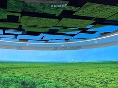 -东寨港红树林旅游区