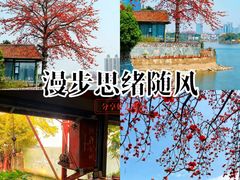 -喜洲吧·江畔老船厂·庭院餐厅(喜临院店)